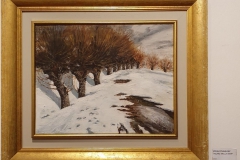 Virna-Damiani-Filari-nella-neve