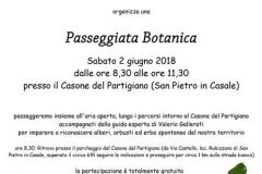 Giardini-passeggiata-botanica